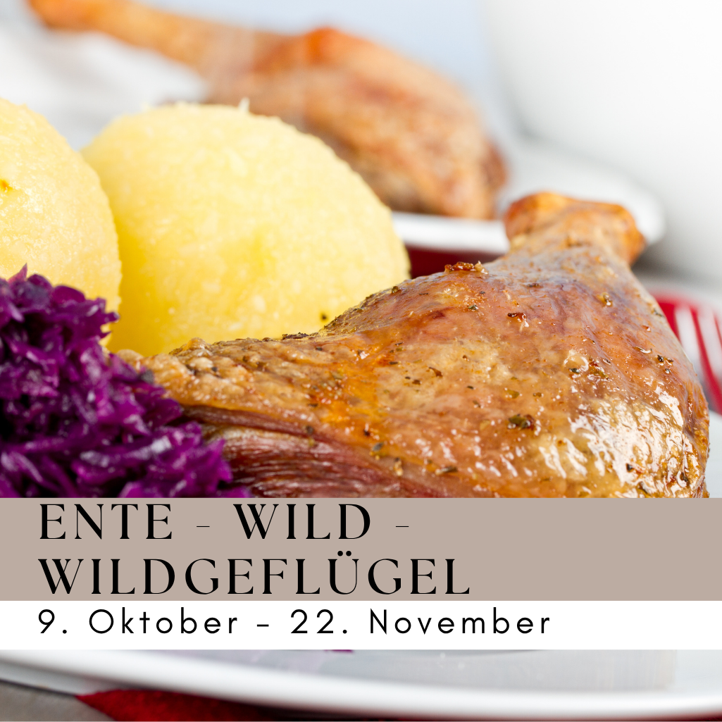 Ente Wildgeflügel